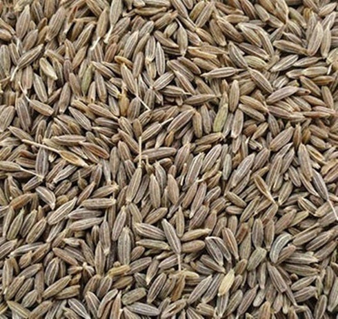 Cumin| Jeera - Whole